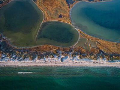 Внаслідок російської окупації на Кінбурнській косі вигоріло близько 60% лісу - Херсон Daily