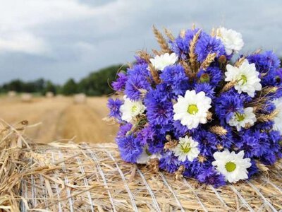 До 32 градусів тепла прогнозують у суботу на Рівненщині