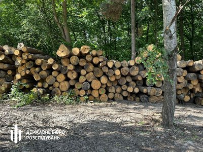 Біля села на Волині вилучать зрізаний ліс: деталі (Фото)