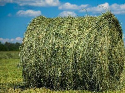 Прогноз погоди в Україні на вихідні, 22 – 23 серпня 2026 року