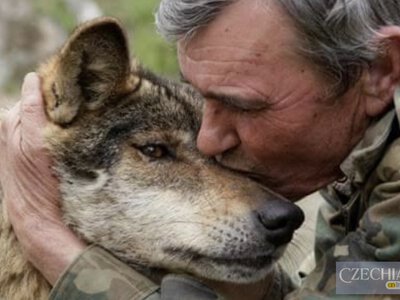 Помер іспанський «хлопчик-вовк»: він 12 років жив у горах серед диких тварин
