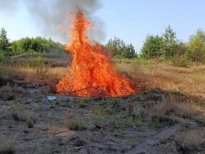 На Рівненщині екоінспектори оштрафували майже 40 паліїв
