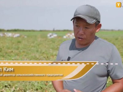 СБУ повідомила про підозру голові незаконного аграрного комітету на Херсонщині