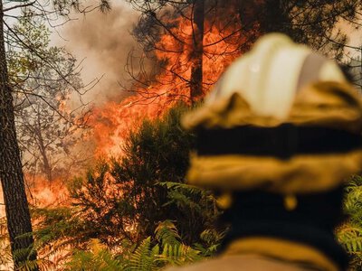 Лісові пожежі поставили під загрозу кліматичні цілі Європи