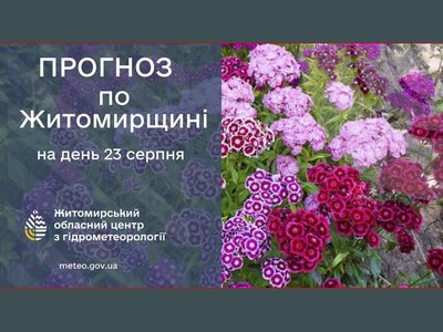 Погода сьогодні на Житомирщині
