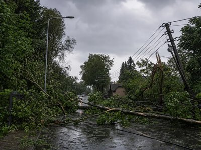 Буревій у Латвії залишив без електрики близько 277 тисяч домогосподарств