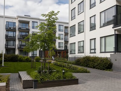 У Фінляндії зростає бездомність після років успіху Housing First