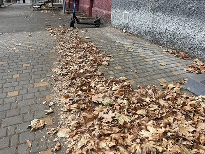 Центр Миколаєва засипає опале листя (фото)