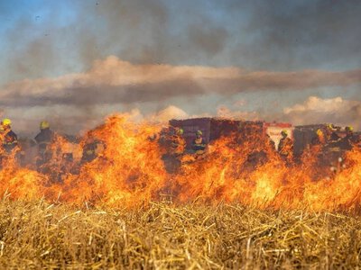  Як розпочнеться тиждень: синоптики попередили закарпатців про небезпеку 