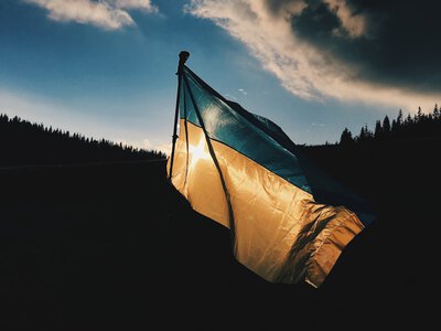 Синій і жовтий стали символами України задовго до пшеничних полів: звідки взялися кольори прапора