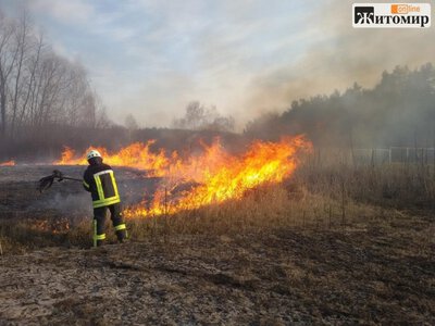 На Житомирщині за добу загасили 19 пожеж сухої трави