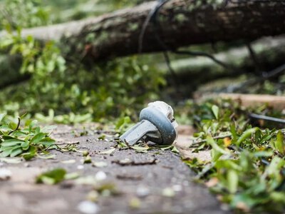Балтію накрив потужний циклон: є загиблі, сотні тисяч людей без світла