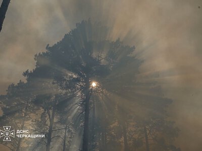 Вогнеборцям вдалося врятувати дачні будинки від лісової пожежі у селі Кумейки