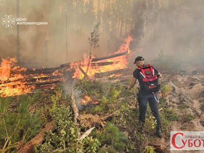 Площа пожежі в заповіднику на Коростенщині зросла до 59 гектарів