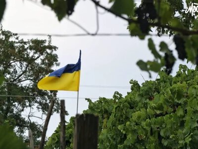 Дрони ЗСУ підняли український прапор над Великою Кардашинкою та Голою Пристанню - Херсон Daily