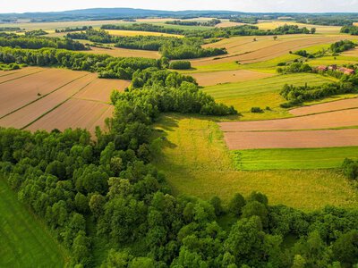 Земля дорожчає – шахраї активізуються: які ризики чекають на покупців