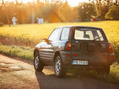 Де в Україні купують найбільше нових автомобілів: рейтинг регіонів