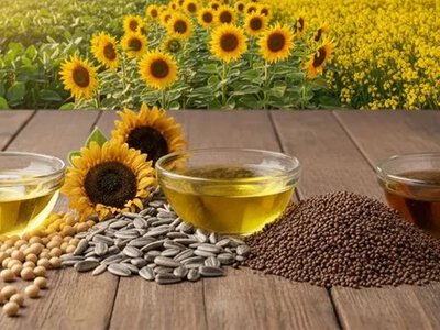Обнулення мит на експорт сої, ріпаку, соняшнику