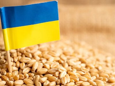 Молдова змінює правила для українського зерна: чому це важливо для Одеської області