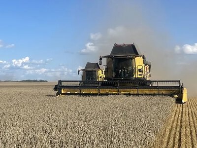 Хмельниччина лідирує за врожайністю ранніх зернових