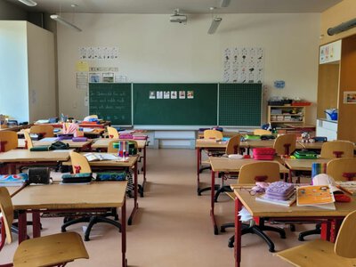 Жодного німця в класі: розповідь українки про навчання доньки в Німеччині збурила мережу  (Відео)