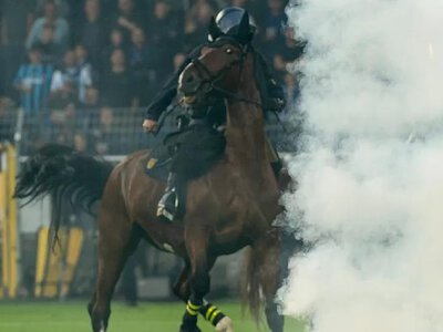 У Німеччині зоозахисники поскаржилися на поліцію після заворушень на футбольному матчі