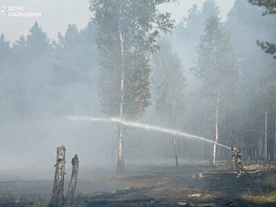 Спека й вітер роздмухують полум’я: на Вишгородщині триває ліквідація масштабної лісової пожежі