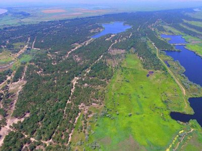 Болгарія планує збудувати дамбу для охолодження АЕС через обміління Дунаю