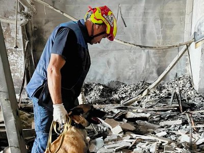 Рятувальні собаки ДСНС працюють на місці удару у Кривому Розі