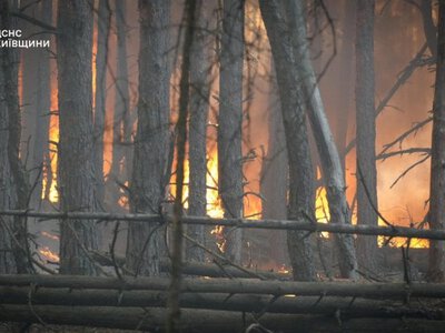 На Київщині ліквідовують масштабну лісову пожежу