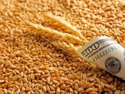 Пшениця: світ шукає нові шляхи постачання