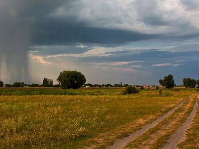 Прогноз погоди у Локачах на 25 серпня