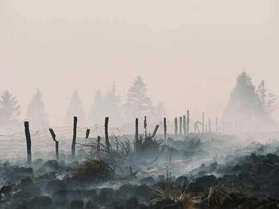 Аномальна спека в Європі призвела до вибухів боєприпасів часів світових воєн
