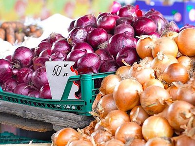 Сколько стоит лук на базарах в Харьковской области — Цены?