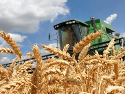 Українські аграрії обмолотили 58% прогнозованих площ: де фіксують найвищу урожайність