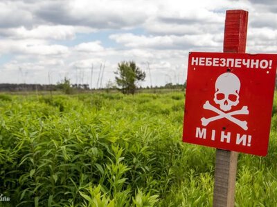 Нелегальне розмінування: тіньовий ринок в агросекторі