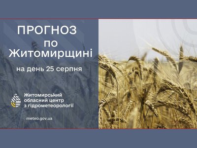 Погода сьогодні на Житомирщині