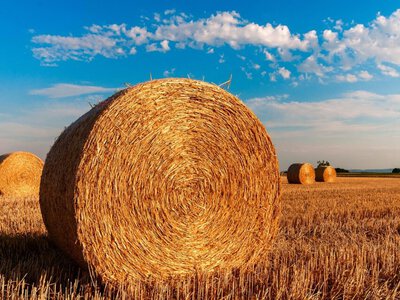 До кінця тижня на Сумщині збережеться надзвичайна пожежна небезпека