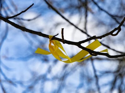  Діти ВПО з Новокаховської громади Херсонщини можуть отримати 3 тисячі гривень допомоги 