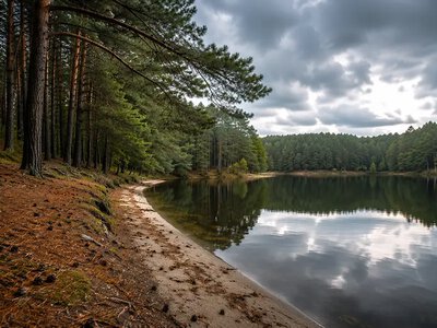Прогноз погоди на Хмельниччині: зниження температури до +23°C, місцями дощі та грози