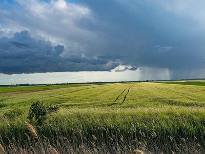 Прокуратура вимагає конфіскувати 7 га землі у громадян Росії