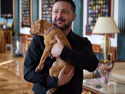 У Зеленського з'явилася нова улюблениця: хто подарував Президенту цуценя