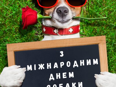 День собаки 26 серпня: історія свята та дивовижні факти про чотирилапих