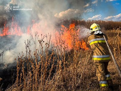 Автівки, вулики та екосистеми – протягом доби на Миколаївщині загасили 44 пожежі (ФОТО)