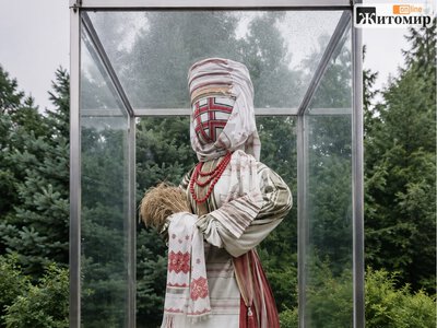 Житомирську мотанку-рекордсменку пропонують «відправити у велике прання» силами волонтерів