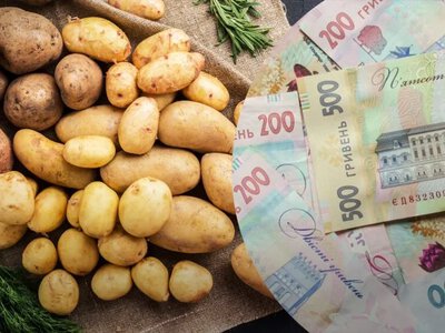 Картопля: ціна зросте до 40%