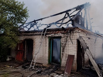 На Ніжинщині вогонь знищив дві господарчі будівлі 