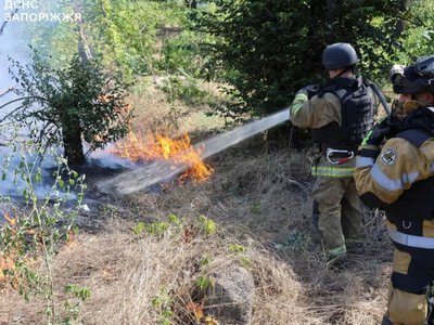 Запоріжжя: надзвичайники ліквідували пожежі в екосистемах, спричинені ворожими обстрілами