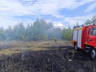 У Локачинській громаді загорілася суха трава