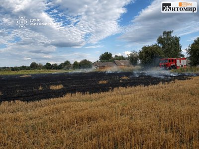 У Житомирському районі горіла суха рослинність: до медзакладу з отруєнням чадним газом госпіталізували чоловіка